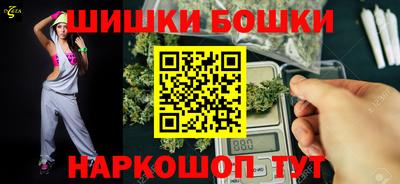 гашик Бийск