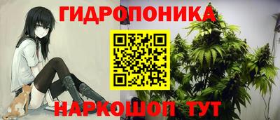 гашик Бийск