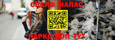 гашик Бийск