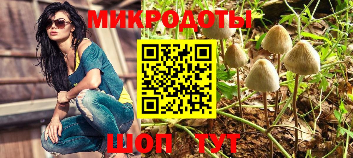 Псилоцибиновые грибы Psilocybe  Вход с VPN  Апшеронск 